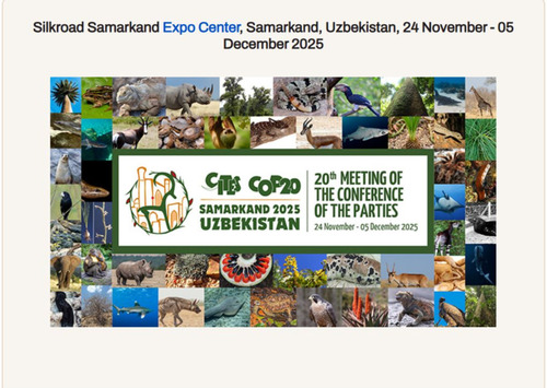 Зэрлэг амьтан, ургамлын аймгийн ховордсон зүйлийг олон улсын хэмжээнд худалдаалах тухай конвенцын талуудын бага хурал болж байна 